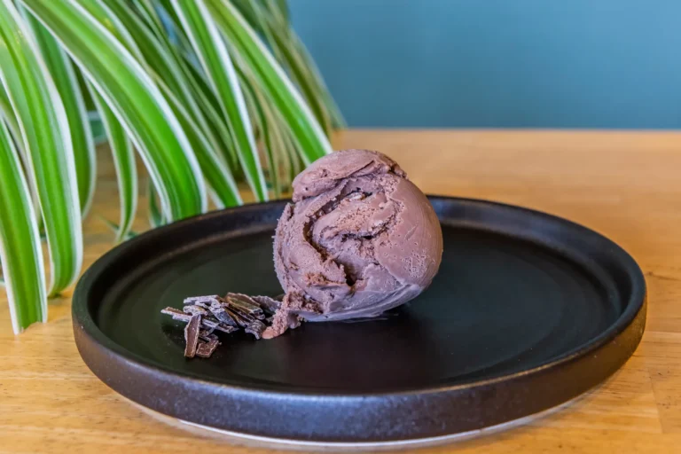 Chocolate ice cream scoop on black plate